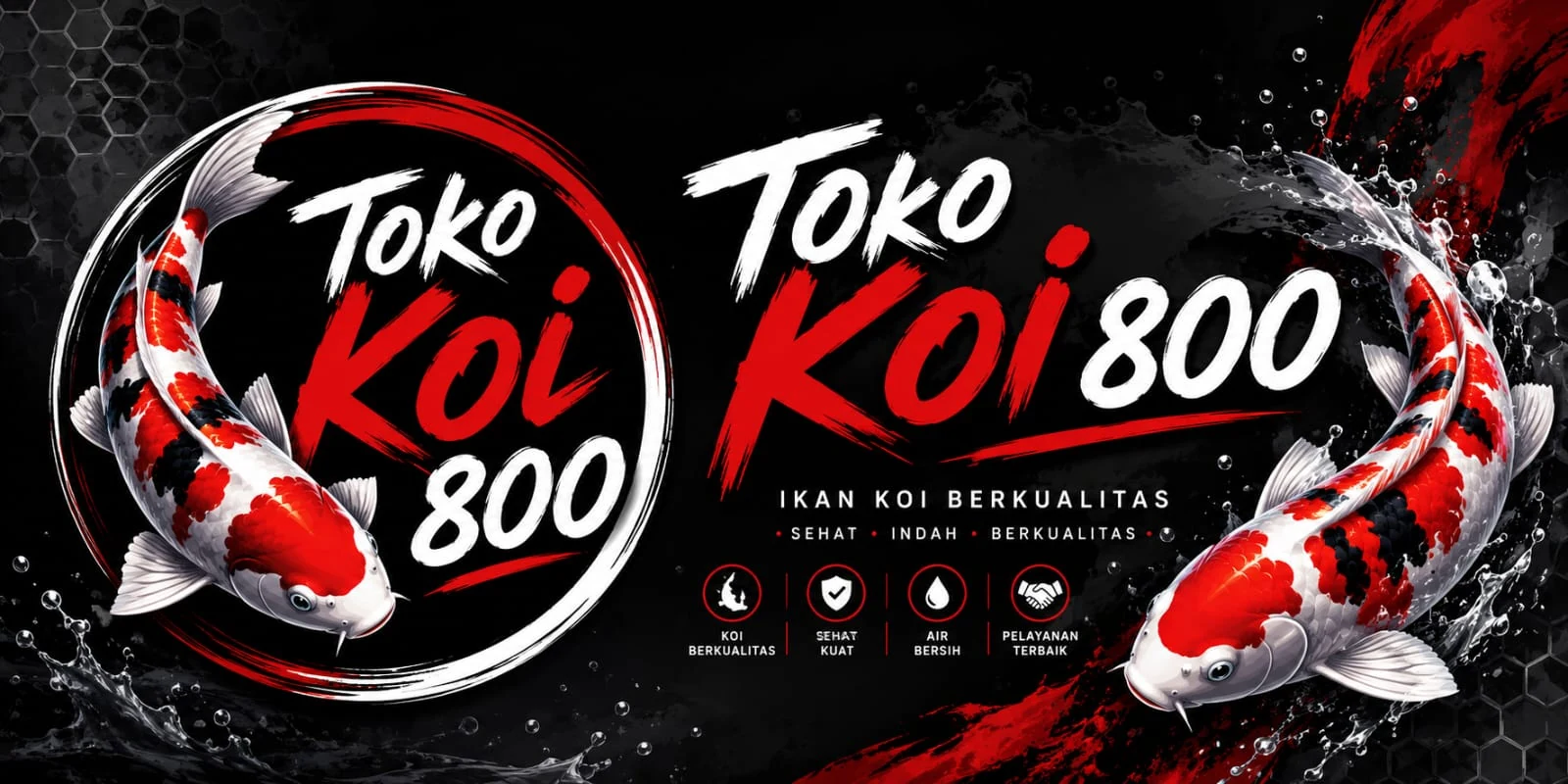 Toko Koi 800, ikan koi berkualitas